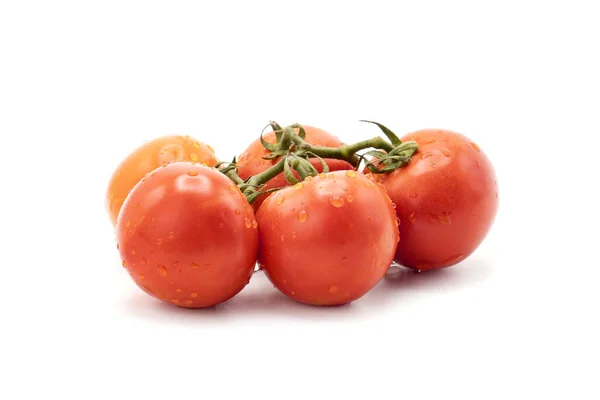 Closeup Shot Tomatoes Isolated White — Stock Photo, Image