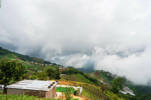 霧の日の山の上の農業風景 — ストック写真