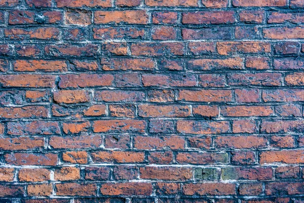 Vecchio Muro Mattoni Squallido — Foto Stock