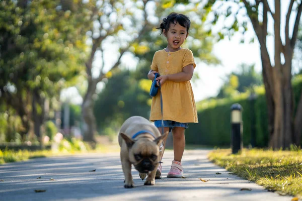 Een Klein Zuidoost Aziatisch Meisje Die Haar Bulldog Uitlaat Een — Stockfoto