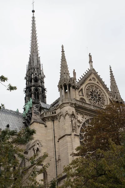 Egy Függőleges Felvétel Párizsi Notre Dame Ról — Stock Fotó