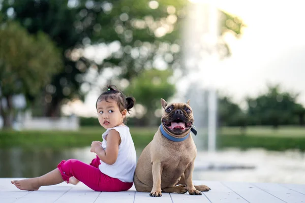 Asian Female Child Playing Her French Bulldog Pet — Stock Photo, Image