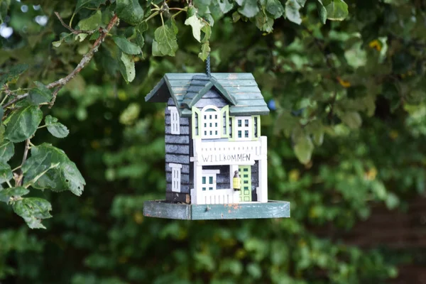 Een Schattig Klein Huis Speeltje Opknoping Van Een Boom Een — Stockfoto