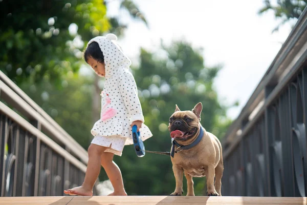 Een Klein Thais Meisje Wandelen Met Haar Mooie Franse Bulldog — Stockfoto