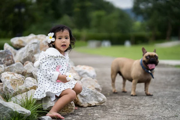 Uma Criança Fêmea Asiática Bonito Seu Animal Estimação Bulldog Francês — Fotografia de Stock