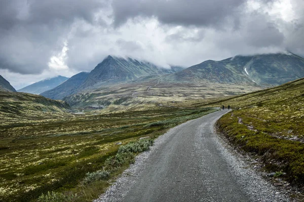 一条通往挪威山区的道路 — 图库照片