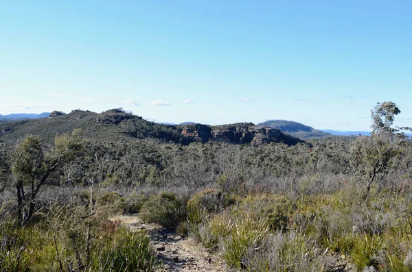 Leura Österrike Jul 2021 Vid Flat Top Walking Track Nära — Stockfoto