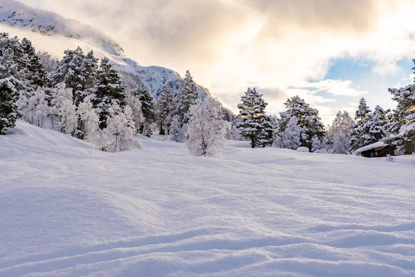 Uma Paisagem Pitoresca Inverno Com Uma Pequena Casa Árvores Montanhas — Fotografia de Stock