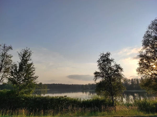 Vacker Utsikt Över Sjö Omgiven Grönt Gräs Bland Skog Blå — Stockfoto