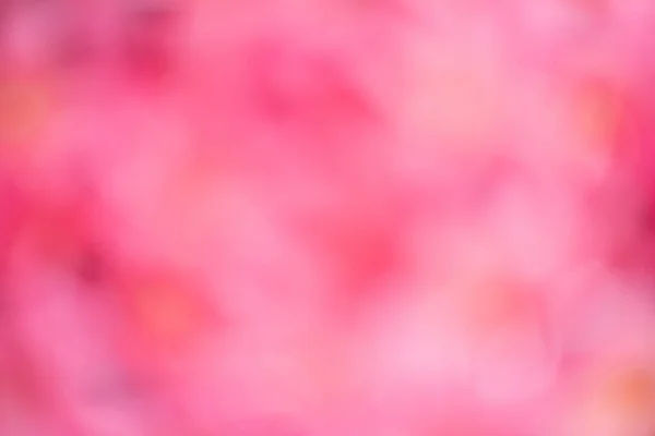 Абстрактний Рожевий Розмитий Фон — стокове фото