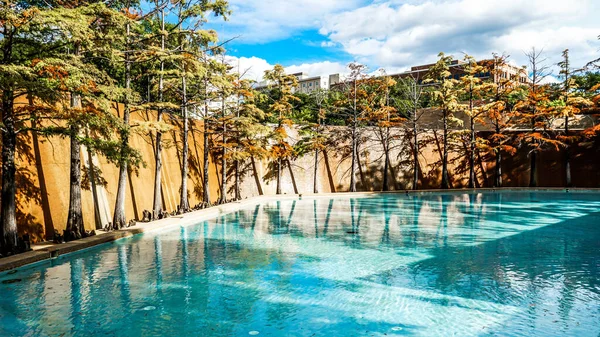 Piękny Niebieski Basen Drzewa Fort Worth Water Gardens Teksasie Usa — Zdjęcie stockowe