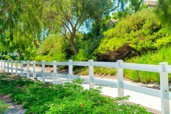 公园里的一张华丽的壁纸 旁边有一道白色的木制篱笆 旁边是一条被茂密的树木环绕的小路 — 图库照片