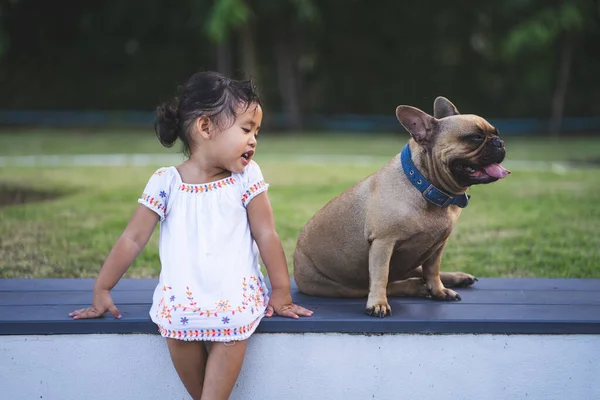 Een Klein Thais Meisje Spelen Met Haar Mooie Franse Bulldog — Stockfoto