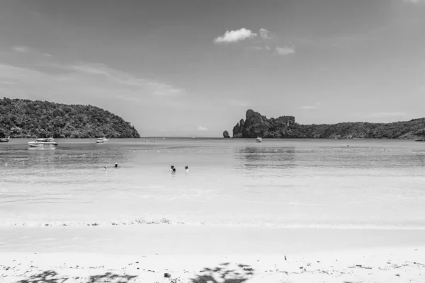 Grayscale Shot People Swimming Sea — Stock Photo, Image