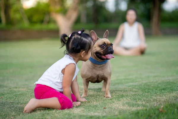 Een Zuidoost Aziatische Vrouw Kid Kijkend Naar Haar Frans Bulldog — Stockfoto