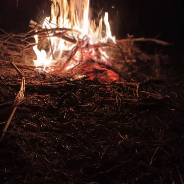 Nahaufnahme Eines Nächtlichen Lagerfeuers — Stockfoto