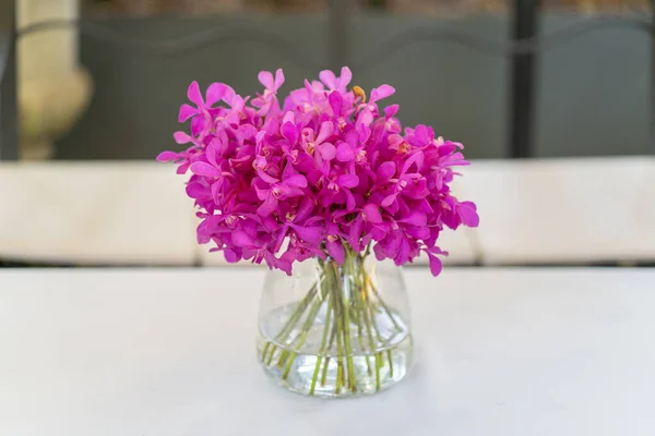 Closeup Shot Pink Flowers Glass Vase Table — Stock Photo, Image