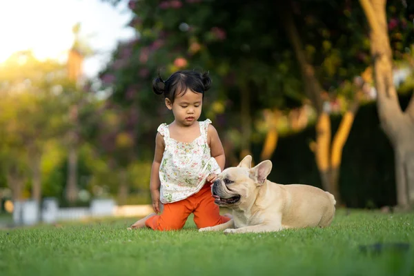 Een Klein Thais Meisje Spelen Met Haar Mooie Franse Bulldog — Stockfoto