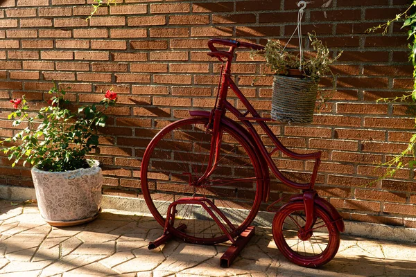 レンガの壁に対する植物のための装飾的な自転車 — ストック写真