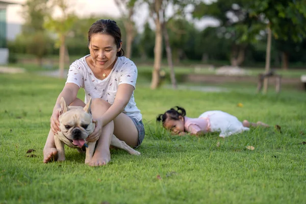 Asian family with dog Stock Photos, Royalty Free Asian family with dog  Images | Depositphotos