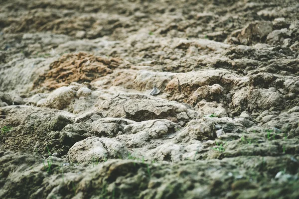 Крупним Планом Знімок Простого Піску Піщаному Кар Єрі — стокове фото