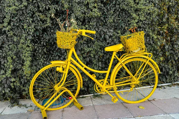 Una Bicicleta Amarilla Decorativa Parque Cerca Plantas Verdes —  Fotos de Stock