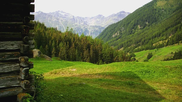 Paisaje Colinas Rocosas Cubiertas Vegetación Bajo Luz Del Sol Campo — Foto de Stock