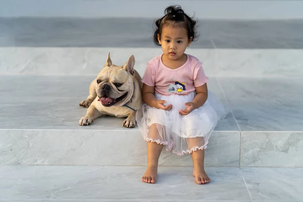 Uma Menina Asiática Bonito Seu Animal Estimação Bulldog Francês — Fotografia de Stock