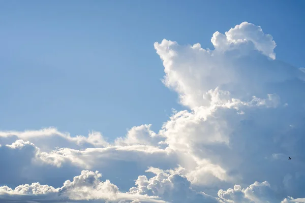 Sebuah Tembakan Dekat Awan Berbulu Putih Langit Biru Sempurna Untuk — Stok Foto