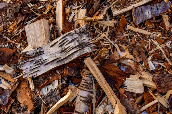Pile Wood Chips Forest — Stock Photo, Image
