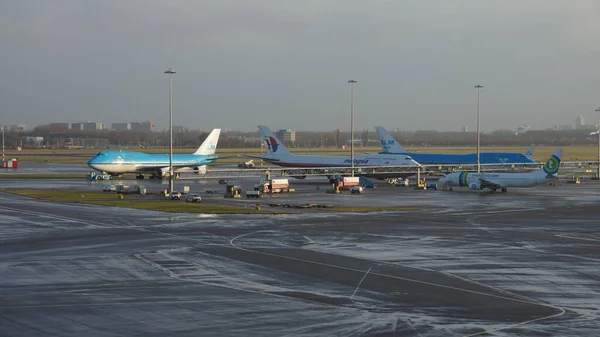 Ипхол Нидерланды Января 2012 Года Группа Самолетов Klm Амстердамском Аэропорту — стоковое фото