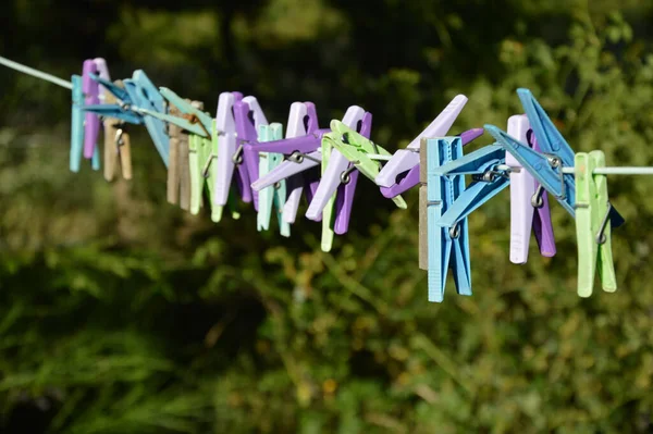 Los Pinzas Plástico Colores Una Cuerda Sobre Fondo Planta Verde —  Fotos de Stock