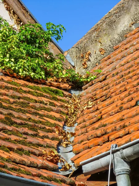 Eine Vertikale Aufnahme Alter Dächer Unter Strahlend Blauem Himmel — Stockfoto