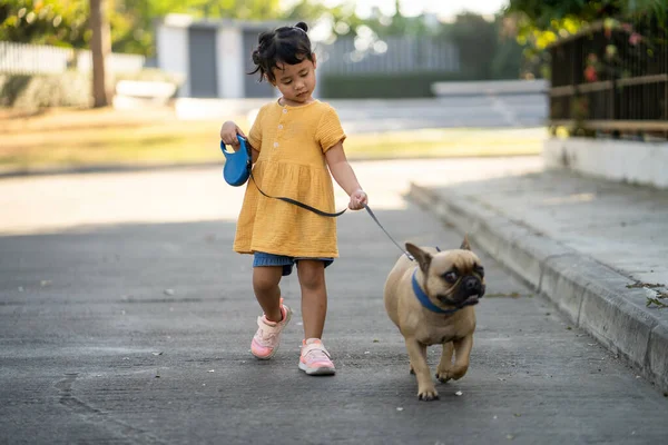 Een Klein Thais Meisje Wandelen Met Haar Mooie Franse Bulldog — Stockfoto