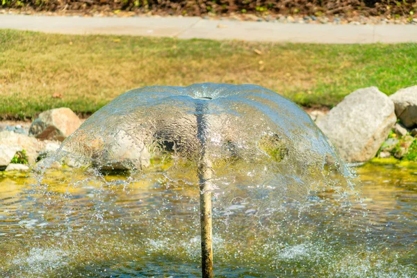 Een Prachtige Fontein Een Waterplas Een Tuin — Stockfoto