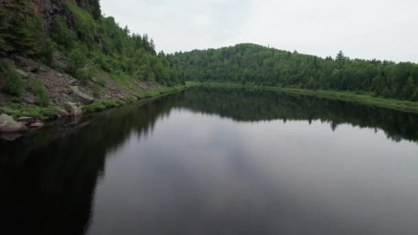 Vue Panoramique Sur Nature Avec Forêt Lac — Video