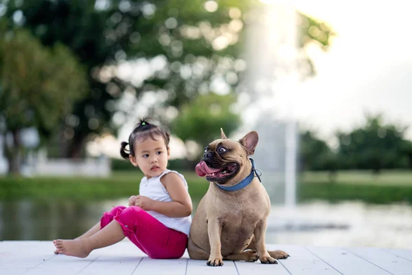 Een Schattig Aziatisch Klein Meisje Zitten Met Haar Hond Buurt — Stockfoto