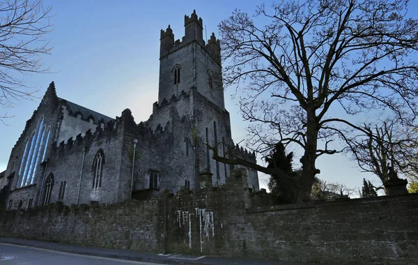 Bild Saint Mary Cathedral Limerick Irland Med Mossig Sten Staket — Stockfoto