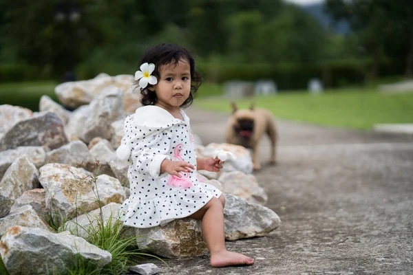 Closeup Shot Southeast Asian Baby Girl Sitting Rocks Dog Background — стоковое фото