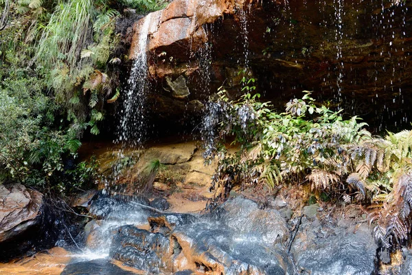 Lawson Australia Липня 2021 View Fairy Falls North Lawson Park — стокове фото