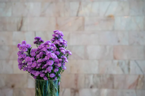 Vaso Vidro Com Buquê Ageratum Mexicano — Fotografia de Stock