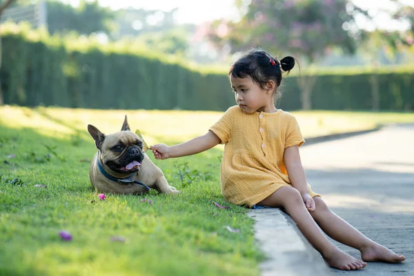 Uma Linda Menina Asiática Brincando Com Seu Buldogue Francês Parque — Fotografia de Stock