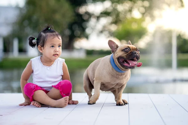 Uma Linda Menina Asiática Brincando Com Seu Buldogue Francês Parque — Fotografia de Stock