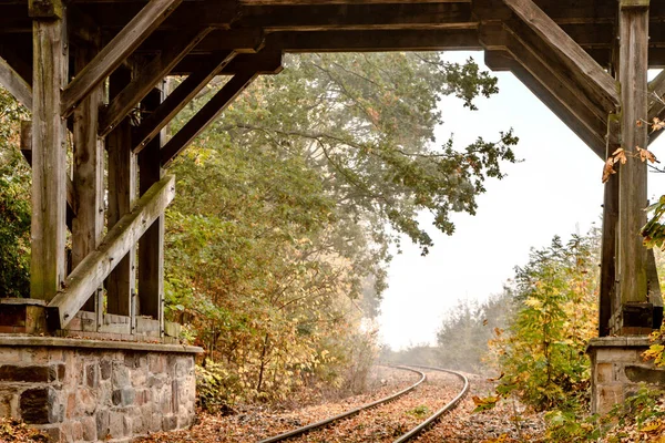 Beautiful View Rails Fallen Fall Leaves — Stock Photo, Image