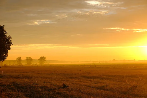 Primer Plano Campo Bajo Hermoso Cielo Atardecer — Foto de Stock