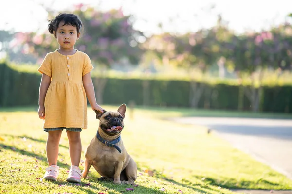 Een Schattig Klein Aziatisch Meisje Spelen Met Haar Franse Bulldog — Stockfoto