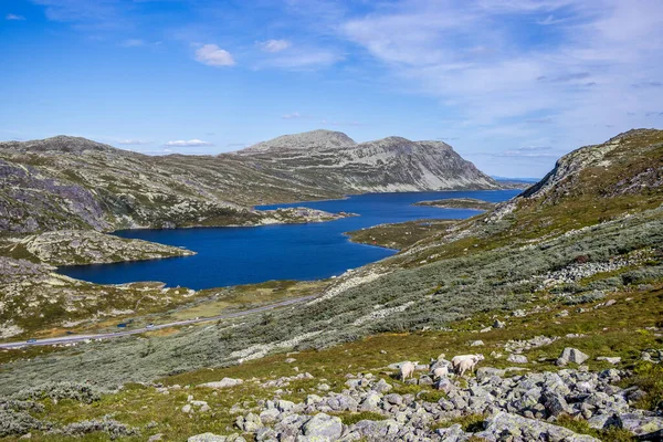 Pemandangan Yang Bagus Trolltunga Norwegia — Stok Foto