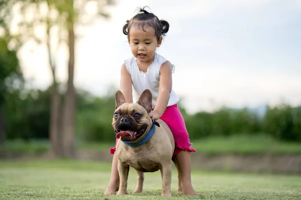 Een Schattig Klein Aziatisch Meisje Spelen Met Haar Franse Bulldog — Stockfoto