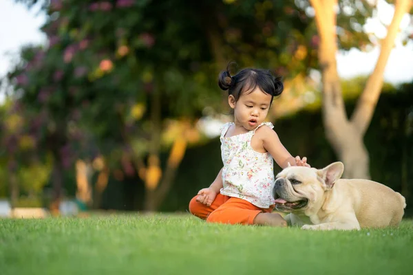 Een Schattig Klein Aziatisch Meisje Spelen Met Haar Franse Bulldog — Stockfoto