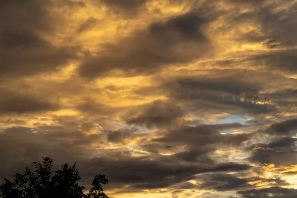 Céu Nebuloso Dourado Durante Pôr Sol — Fotografia de Stock